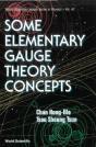 Some Elementary Gauge Theory Concepts - Preview