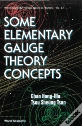 Some Elementary Gauge Theory Concepts