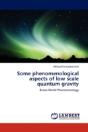 Some Phenomenological Aspects Of Low Scale Quantum Gravity - Preview