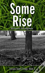 Capa do artigo Some Rise