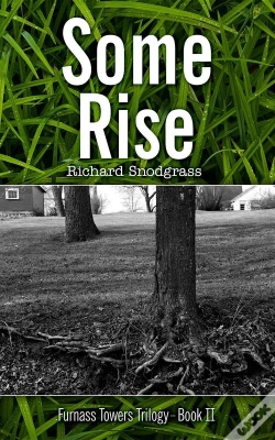 Capa do artigo Some Rise