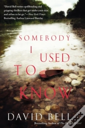 Capa do artigo Somebody I Used To Know