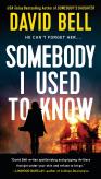 Somebody I Used To Know