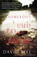 Somebody I Used To Know