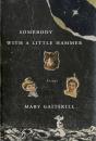 Somebody With A Little Hammer - Preview