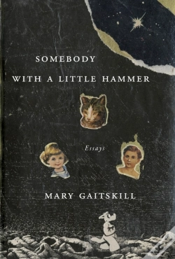 Capa do artigo Somebody With A Little Hammer
