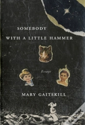 Capa do artigo Somebody With A Little Hammer