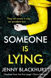 Capa do artigo Someone Is Lying