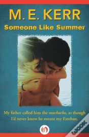 Capa do artigo Someone Like Summer
