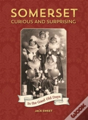 Capa do artigo Somerset Curious And Surprising