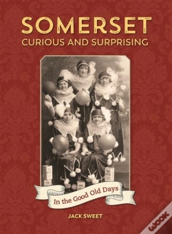 Capa do artigo Somerset Curious And Surprising