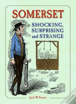 Capa do artigo Somerset Shocking, Surprising And Strange