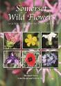 Somerset Wild Flowers - Preview