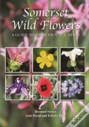 Capa do artigo Somerset Wild Flowers