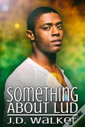 Capa do artigo Something About Lud