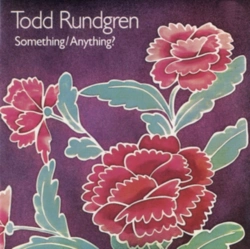 Capa do artigo Something/Anything? - Vinil
