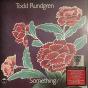 Something/Anything? - Vinil - Preview