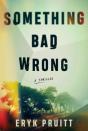 Something Bad Wrong - Preview