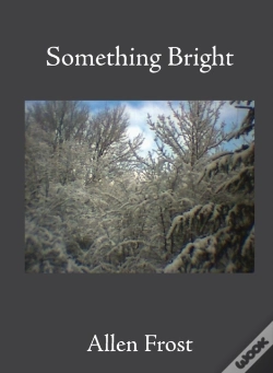 Capa do artigo Something Bright