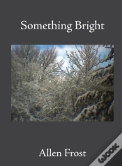 Capa do artigo Something Bright