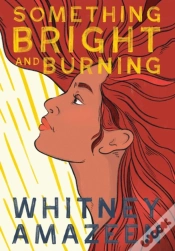 Capa do artigo Something Bright And Burning
