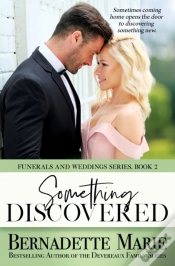 Capa do artigo Something Discovered