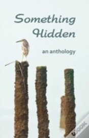 Capa do artigo Something Hidden