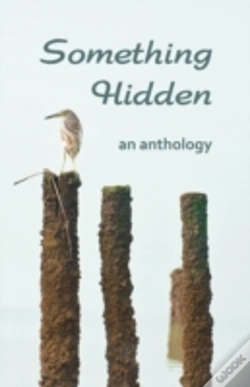 Capa do artigo Something Hidden