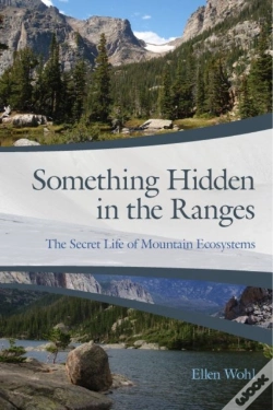 Capa do artigo Something Hidden In The Ranges