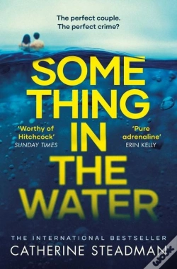 Capa do artigo Something In The Water