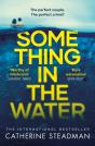 Something In The Water - Preview