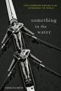Something In The Water - Preview