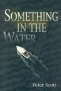 Something In The Water - Preview
