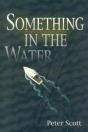Something In The Water - Preview