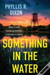 Capa do artigo Something In The Water