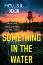 Something In The Water - Preview