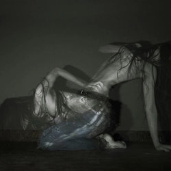 Capa do artigo Something Is a Shell . - Vinil
