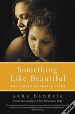 Capa do artigo Something Like Beautiful