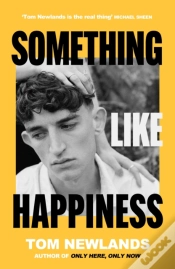 Capa do artigo Something Like Happiness