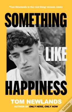 Capa do artigo Something Like Happiness