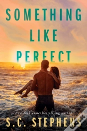 Capa do artigo Something Like Perfect
