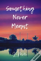 Capa do artigo Something Never Meant