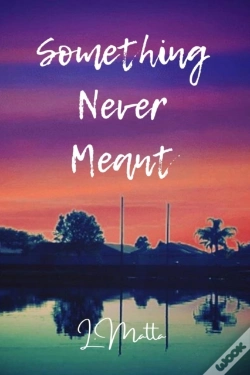 Capa do artigo Something Never Meant