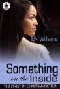 Something On The Inside - Preview