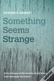 Capa do artigo Something Seems Strange