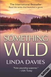 Capa do artigo Something Wild