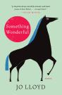 Something Wonderful - Preview