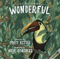 Capa do artigo Something Wonderful