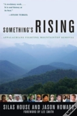 Capa do artigo Something'S Rising