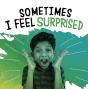 Sometimes I Feel Surprised - Preview